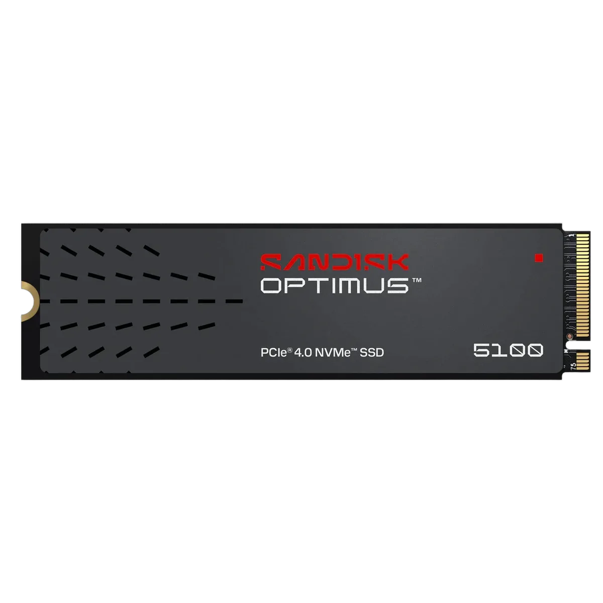 Sandisk Optimus 5100 2To M.2, vue 2