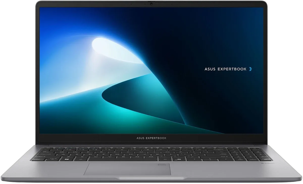 Asus ExpertBook P1 - 15.6" FHD Core 3 100U 16Go 256Go W11P, vue 1