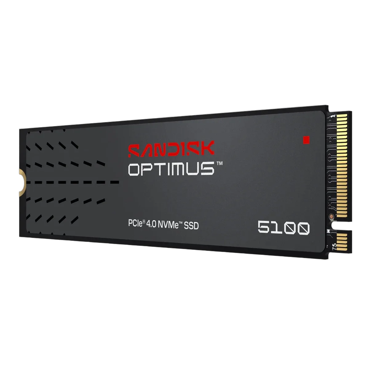 Sandisk Optimus 5100 4To M.2, vue 4