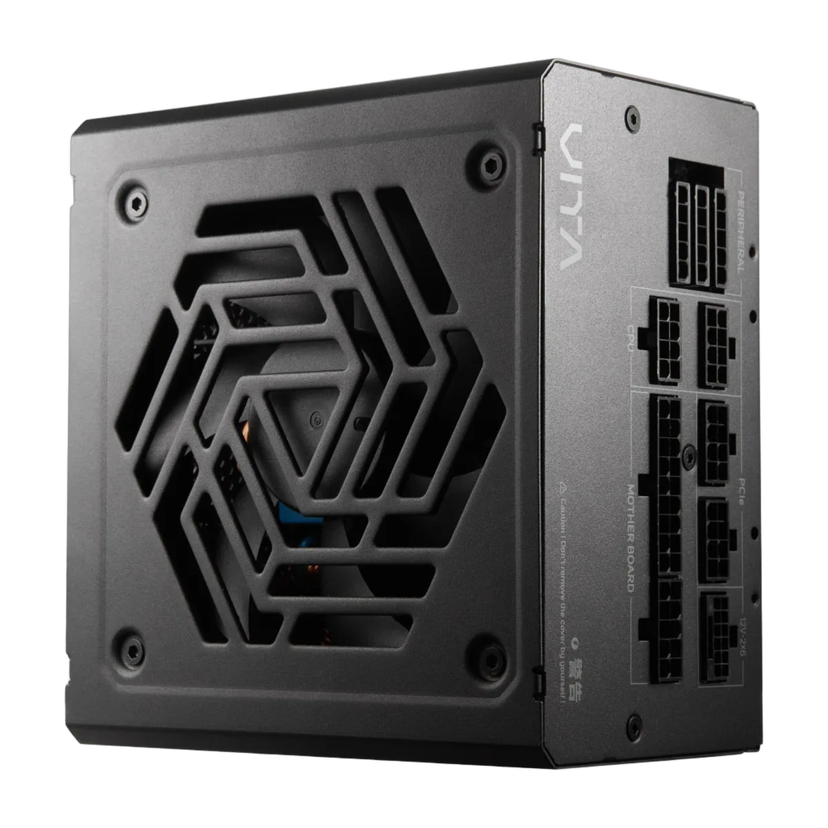 FSP ATX 1000W - 80+ Gold - Vita GM, vue 2