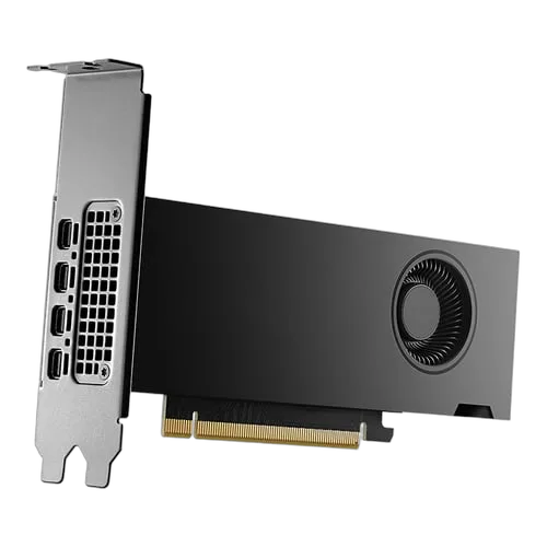 PNY RTX 2000 Ada - RTX2000/16GB/LowProfil, vue 3