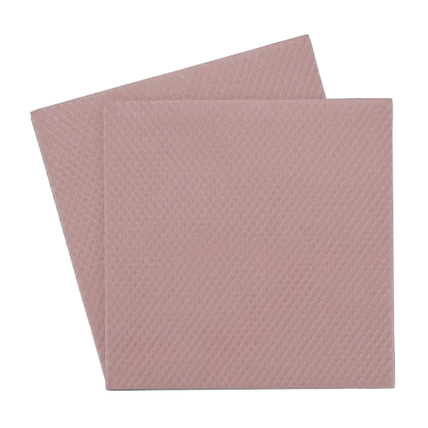 Thermal Grizzly Lot de 2 Minus Pad 8 - 100 x 100 x 1,0 mm