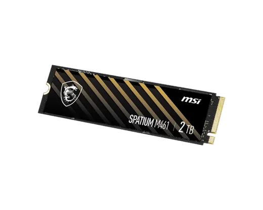 MSI Spatium M461 500Go M.2, vue 2