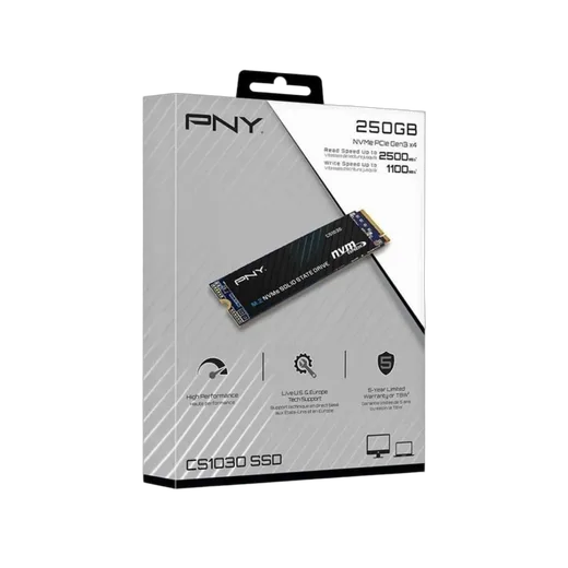 PNY CS1030 250Go M.2