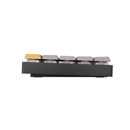 Cherry MX-LP 2.1 Compact 65% - Mécanique - Sans-Fil - RGB - Noir