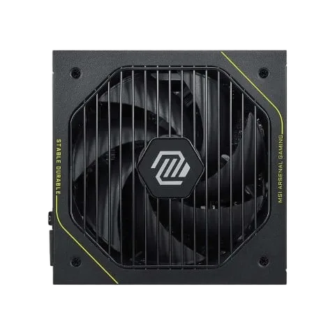 MSI ATX 1000W - 80+ Platinum - MAG A1000PLS PCIE5 Noir, vue 2