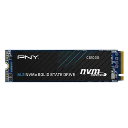 PNY CS1030 250Go M.2