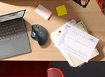 Logitech ERGO M575 for Business - Sans-Fil - Graphite, miniature 7