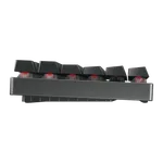 Cherry MX2A 8.2 TKL RGB + Viper V3 Pro, miniature 7